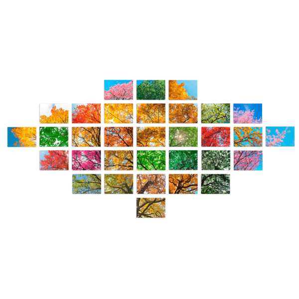 Set 32 Cuadros Árbol Corpulento y Frondoso con Barniz a Registro